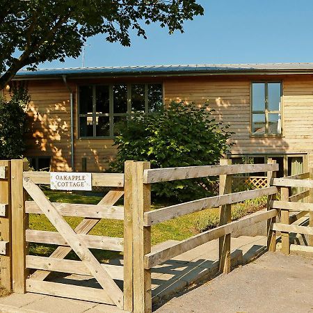 Villa Oak Apple Newton Abbot Exterior foto